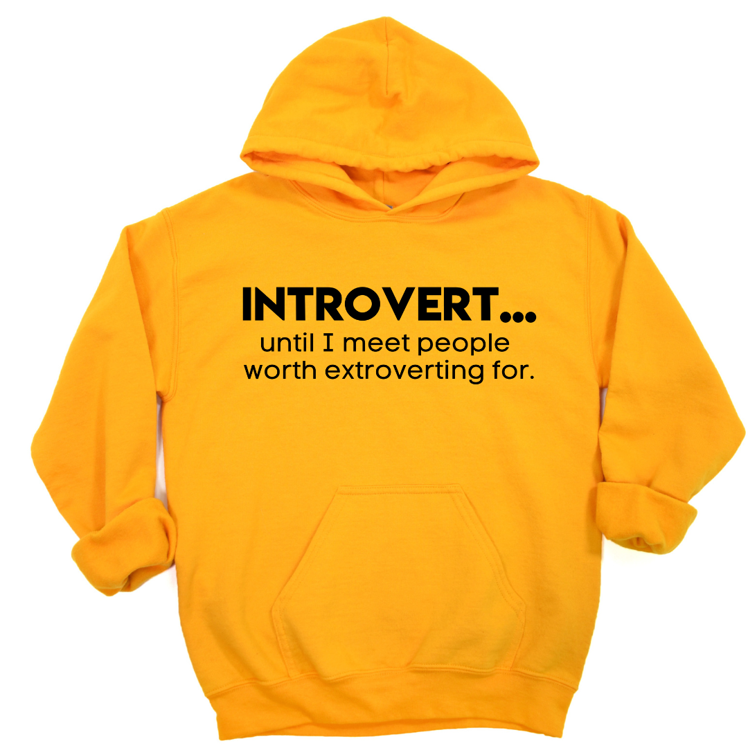 Introvert US hotsell Hoodie