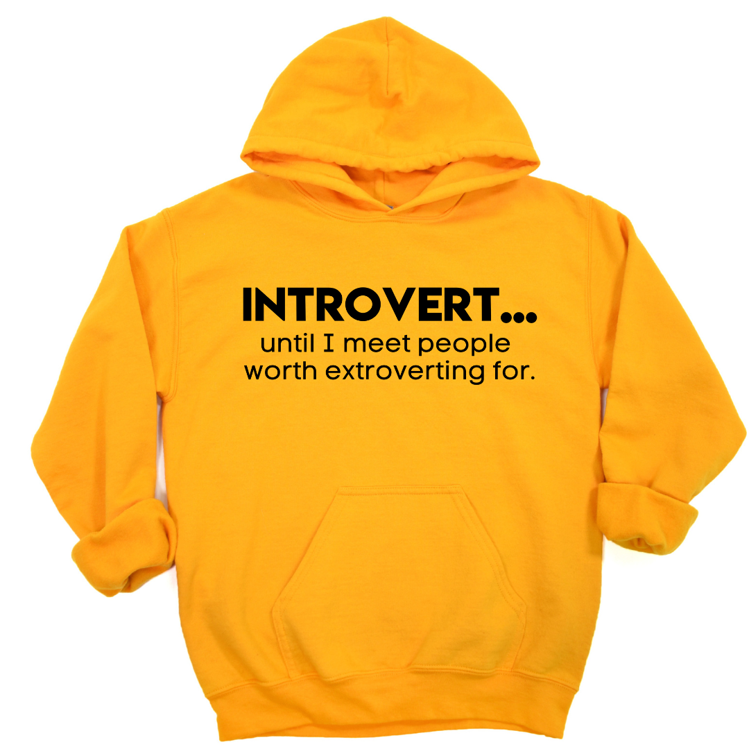 Introverted Extrovert Unisex Hoodie