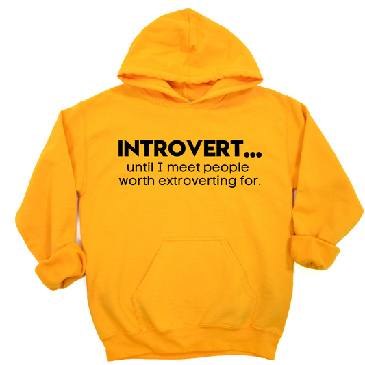 Introverted Extrovert Unisex Hoodie