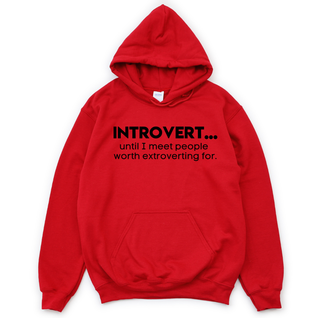 Introverted Extrovert Unisex Hoodie