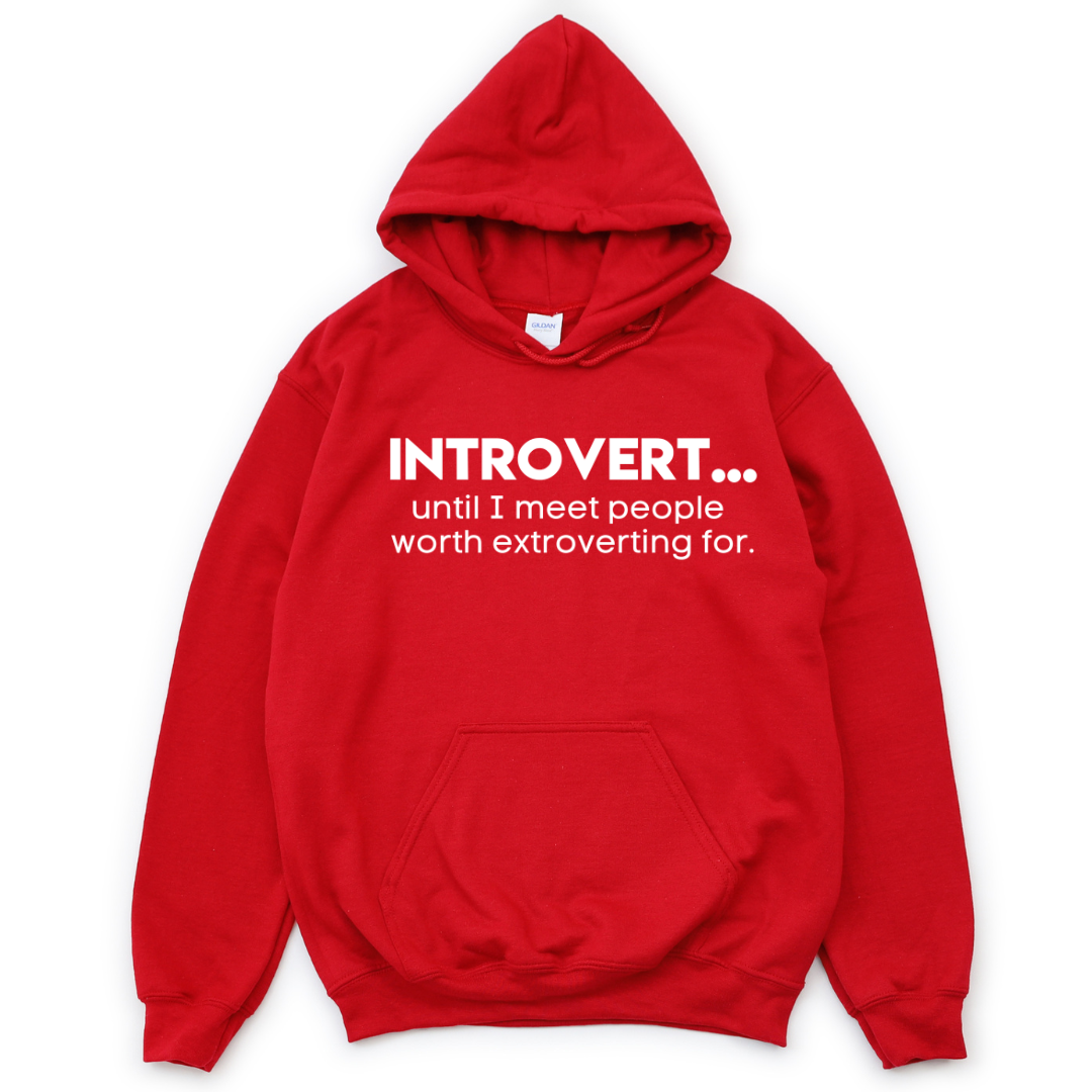 Introverted Extrovert Unisex Hoodie