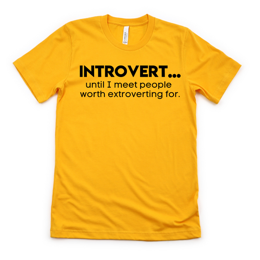 Introverted Extrovert Unisex T-shirt